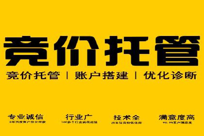 案例对比：关键词竞价排名的优劣